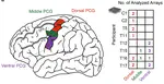 A mosaic of whole-body representations in human motor cortex