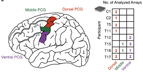A mosaic of whole-body representations in human motor cortex