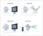 An application-based taxonomy for brain--computer interfaces