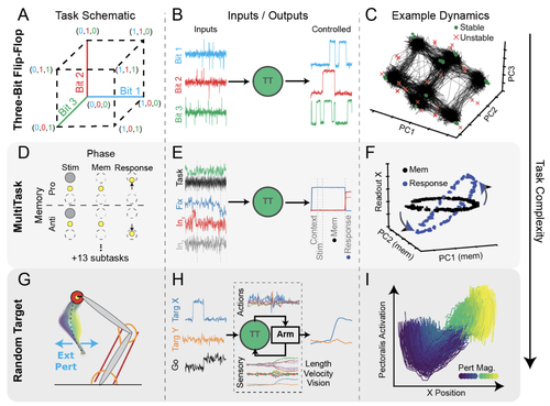 Computation-through-Dynamics Toolkit: Simulated datasets and quality metrics for dynamical models of neural activity