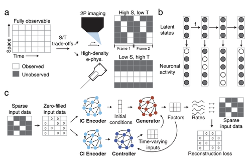 Deep inference of latent dynamics with spatio-temporal super-resolution using selective backpropagation through time