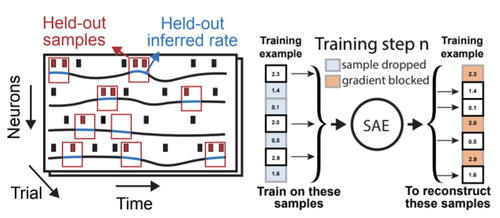 Enabling hyperparameter optimization in sequential autoencoders for spiking neural data