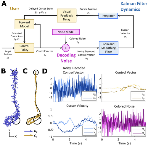 Feedback control policies employed by people using intracortical brain--computer interfaces