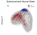 Identifying distinct neural features between the initial and corrective phases of precise reaching using AutoLFADS