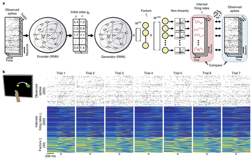Inferring single-trial neural population dynamics using sequential auto-encoders
