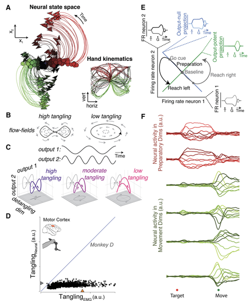 Latent factors and dynamics in motor cortex and their application to brain--machine interfaces