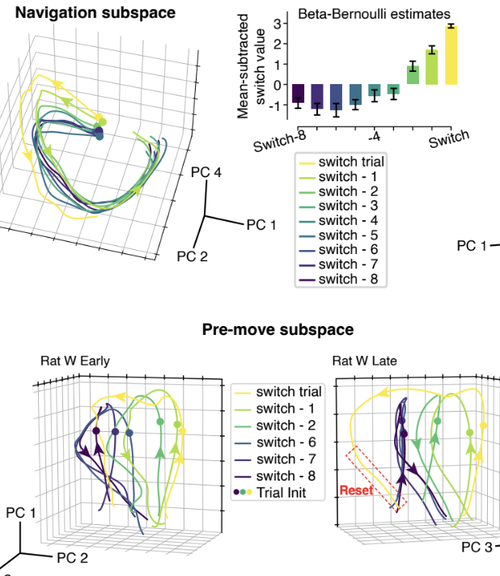 Meta-learning is expressed through altered prefrontal cortical dynamics