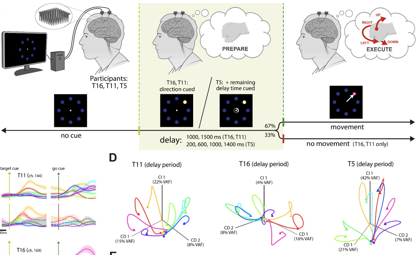 Preparatory encoding of diverse features of intended movement in the ...