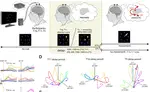 Preparatory encoding of diverse features of intended movement in the human motor cortex