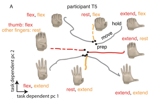Pseudo-linear summation explains neural geometry of multi-finger movements in human premotor cortex