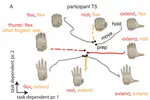 Pseudo-linear summation explains neural geometry of multi-finger movements in human premotor cortex