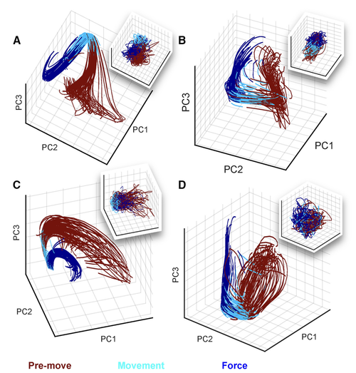 The representation of finger movement and force in human motor and premotor cortices